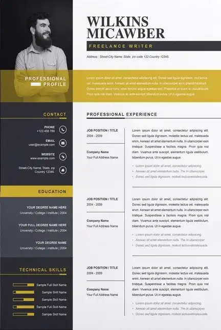 CV Design Concept 1
