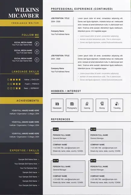 CV Design Concept 2