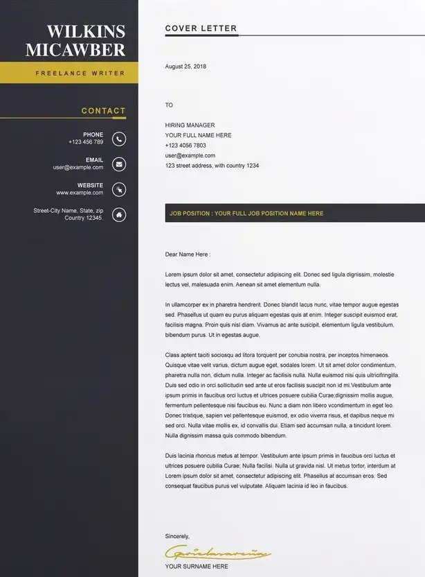 CV Design Concept 3